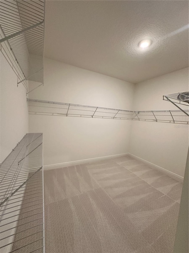 walk in closet featuring carpet floors