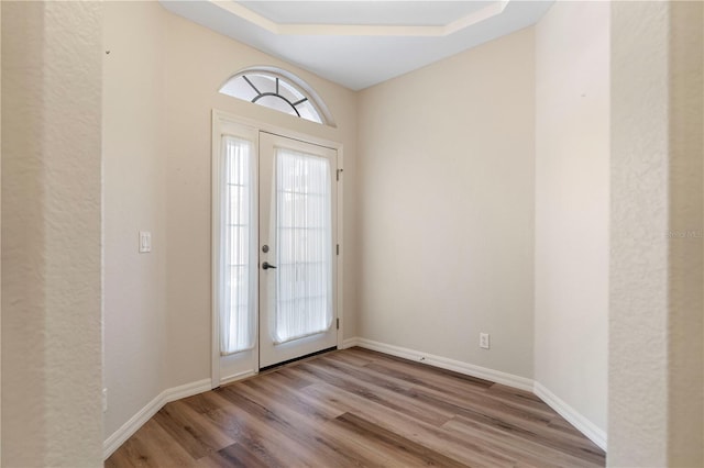 entrance foyer with a wealth of natural light, baseboards, and light wood finished floors