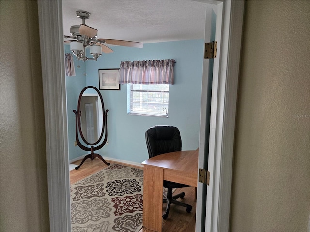 office area featuring ceiling fan, light hardwood / wood-style floors, and a textured ceiling