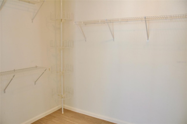 spacious closet featuring wood finished floors