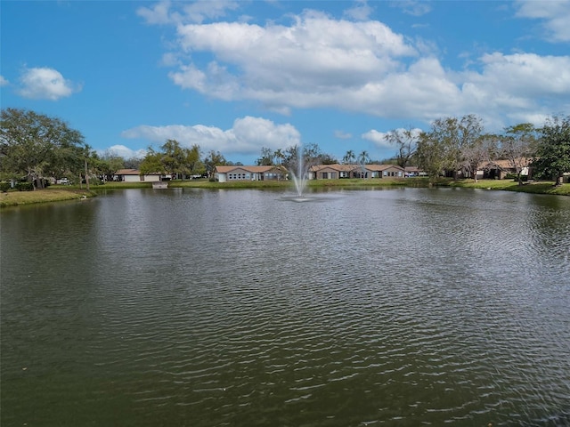 water view featuring a residential view