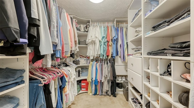 spacious closet featuring light colored carpet