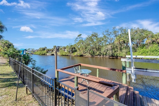 dock area with a water view