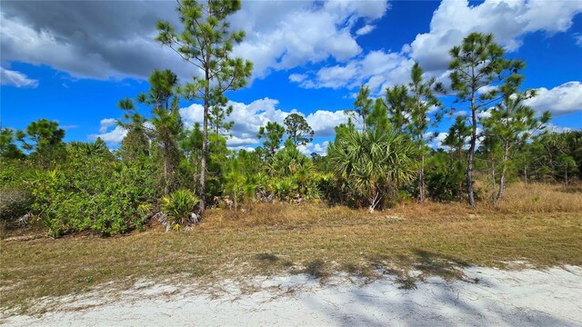 13360 Path Ave, Punta Gorda, FL 33955