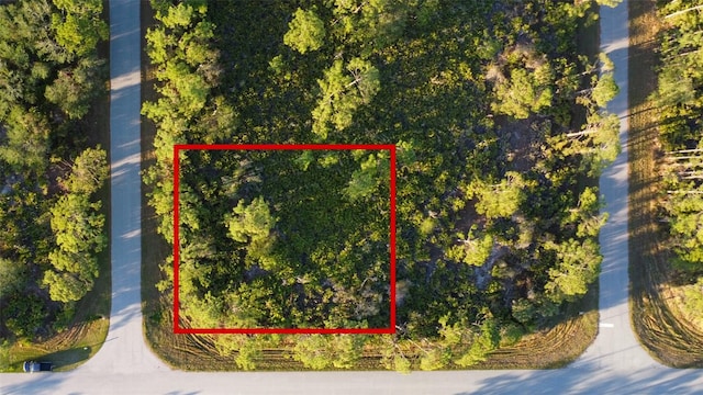 12214 Quinlan Ave, Port Charlotte FL, 33981 land for sale