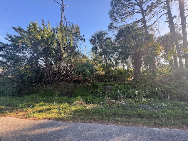 Listing photo 3 for LOT12 Lucaya Ave, North Port FL 34286