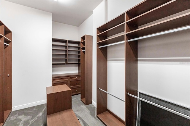 spacious closet featuring carpet