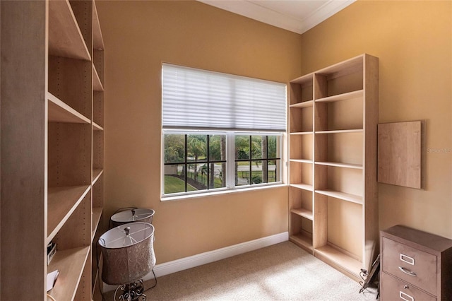 spacious closet with carpet flooring