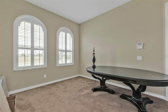 interior space with carpet and baseboards