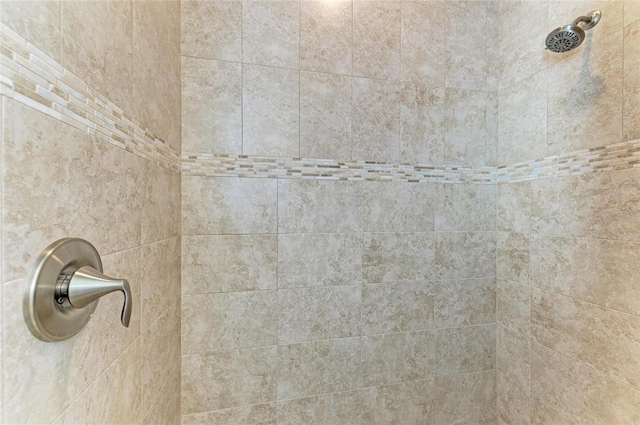 interior details with tiled shower