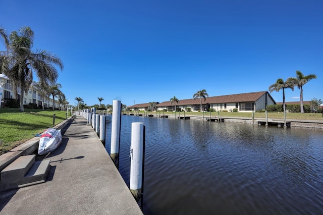 dock area with a water view