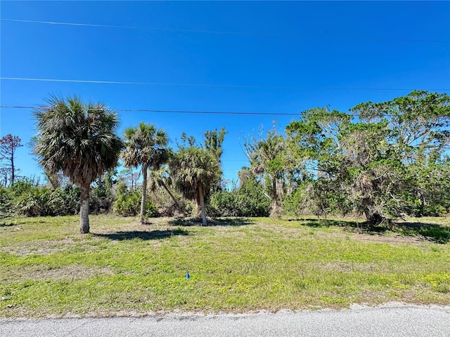 50 Cobia Dr, Placida FL, 33946 land for sale