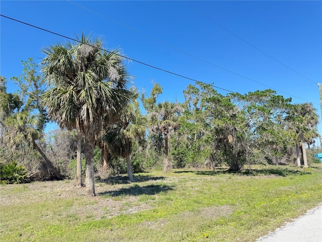 Listing photo 3 for 50 Cobia Dr, Placida FL 33946