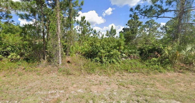 1243 Buell Ave, Fort Myers FL, 33913 land for sale