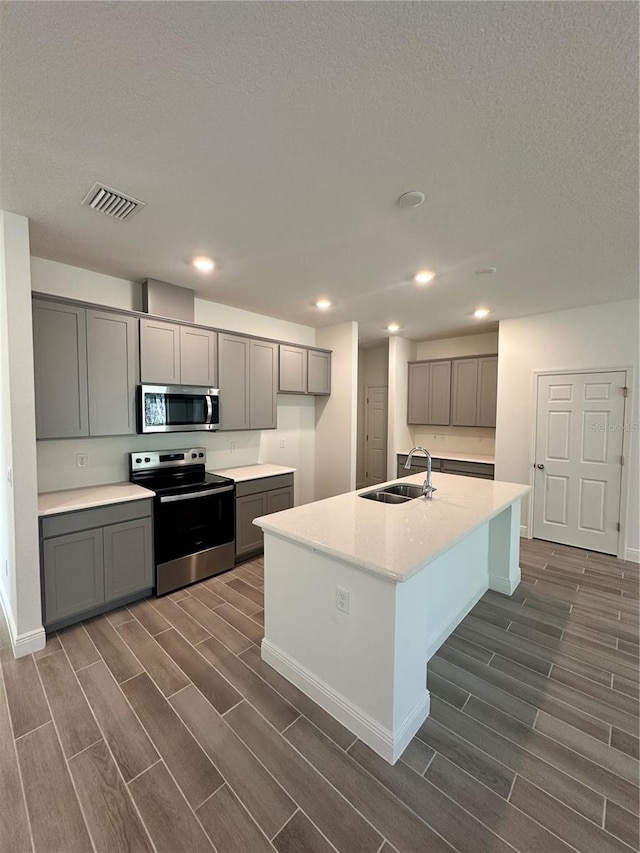 kitchen featuring wood tiled floor, a kitchen island with sink, a sink, gray cabinetry, and stainless steel appliances