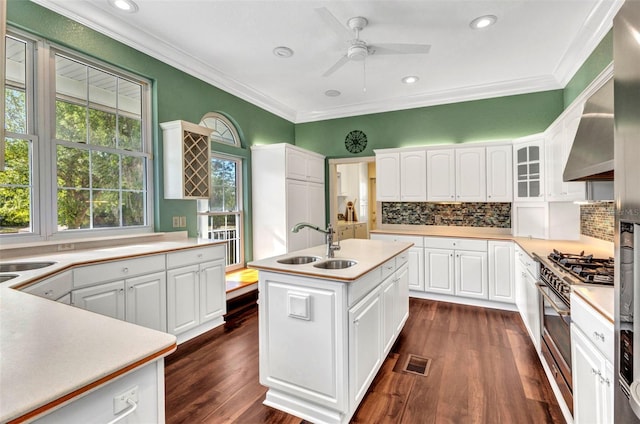 kitchen featuring white cabinets, a ceiling fan, a sink, and visible vents