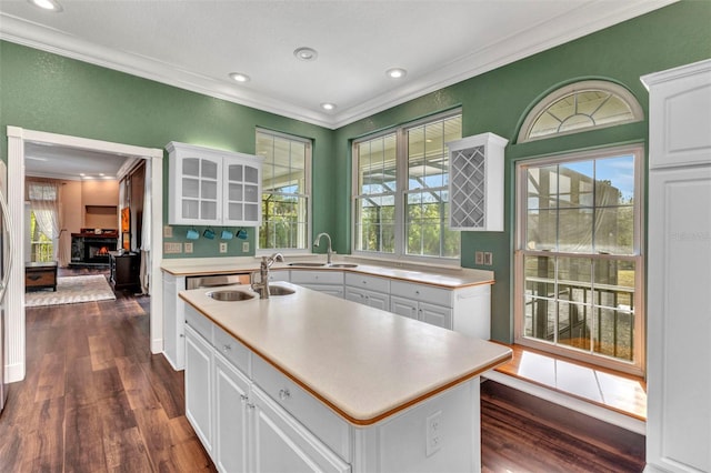 kitchen with white cabinets, a sink, ornamental molding, and dark wood finished floors