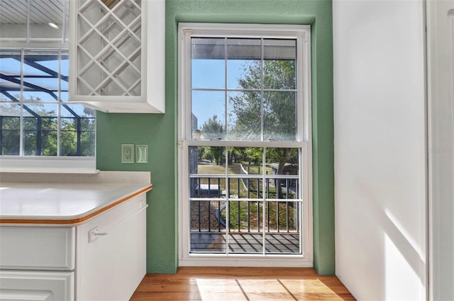 entryway with plenty of natural light and light wood-style floors
