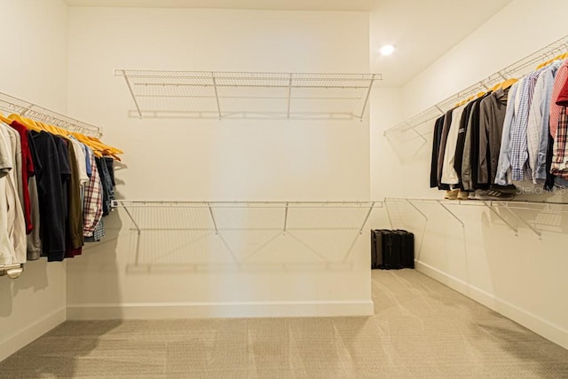 spacious closet with light carpet and radiator heating unit