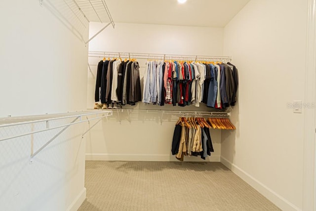 spacious closet with light colored carpet