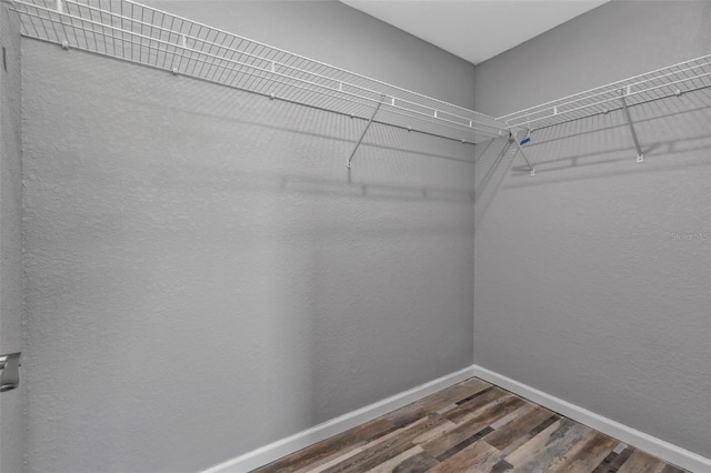 walk in closet with dark wood finished floors