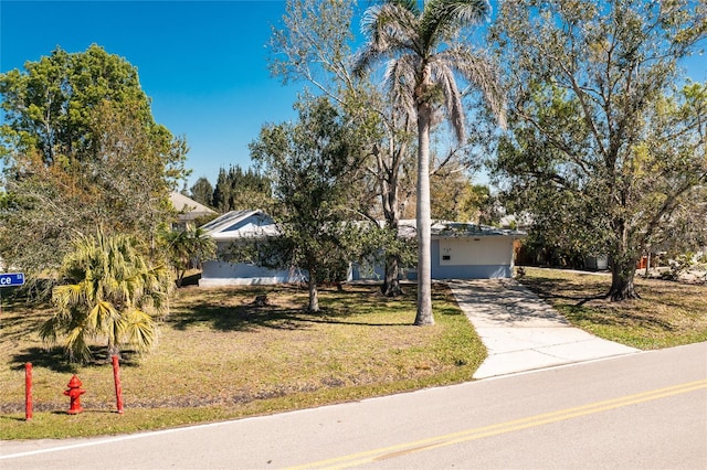 view of property hidden behind natural elements with driveway and a front lawn