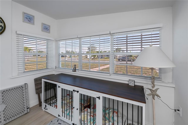 interior space featuring multiple windows, baseboards, and wood finished floors