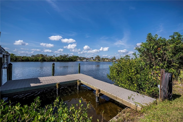 dock area with a water view