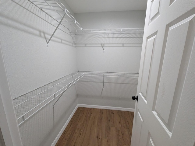 spacious closet with wood finished floors