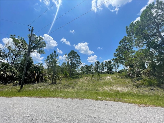 Listing photo 2 for Wagon Wheel Dr, North Port FL 34291