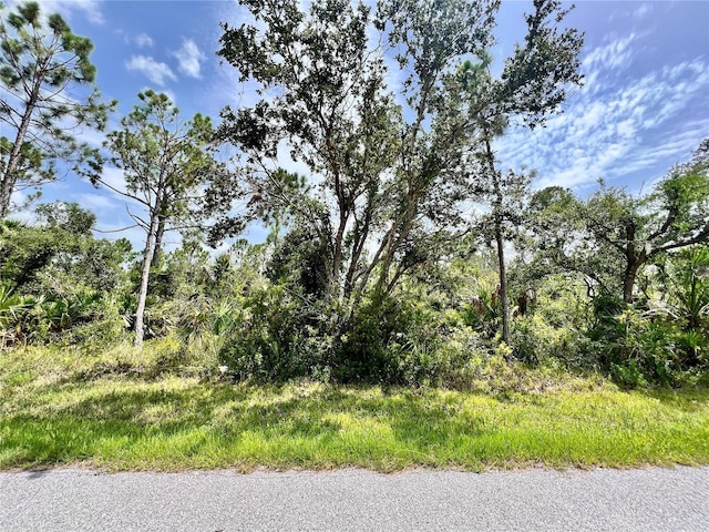 13377 Johannes Ave, Port Charlotte FL, 33953 land for sale