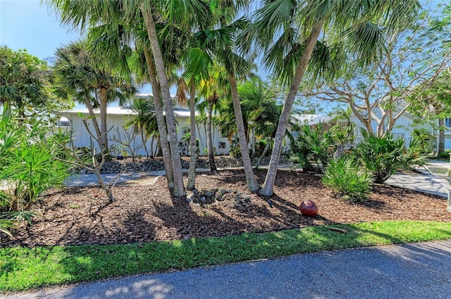 3790 Peace River Dr, Punta Gorda, FL 33983 - photo 8