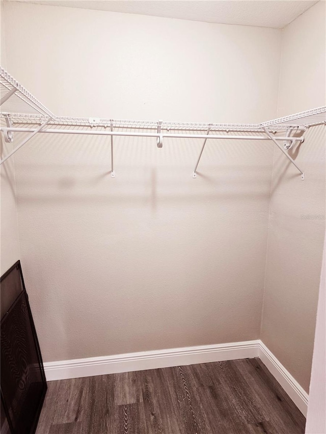 walk in closet with dark wood finished floors