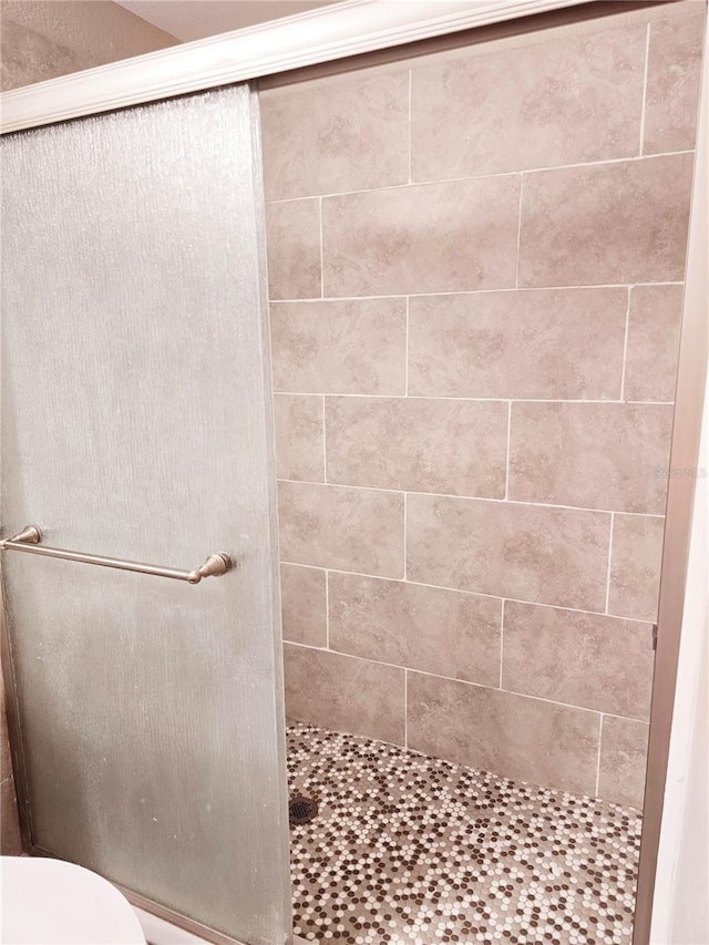 bathroom featuring a shower stall and toilet