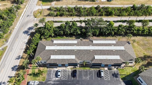 drone / aerial view