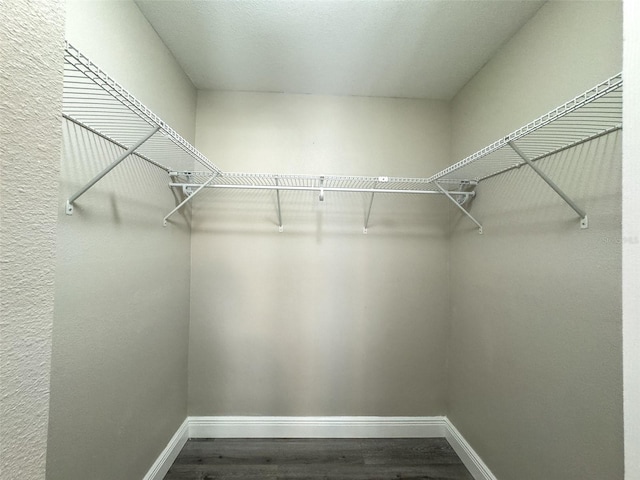 17426 Birchwood Ln Unit 3, Fort Myers, FL 33908 - walk in closet featuring wood finished floors