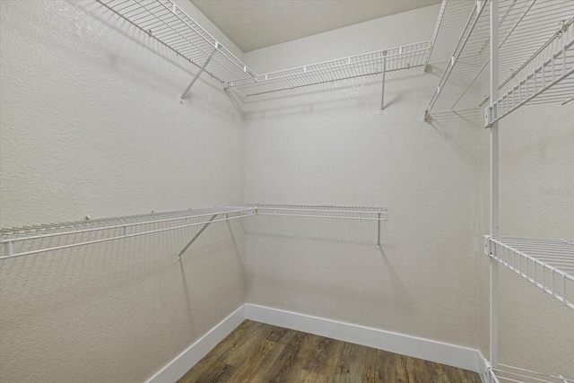 spacious closet with dark wood-type flooring