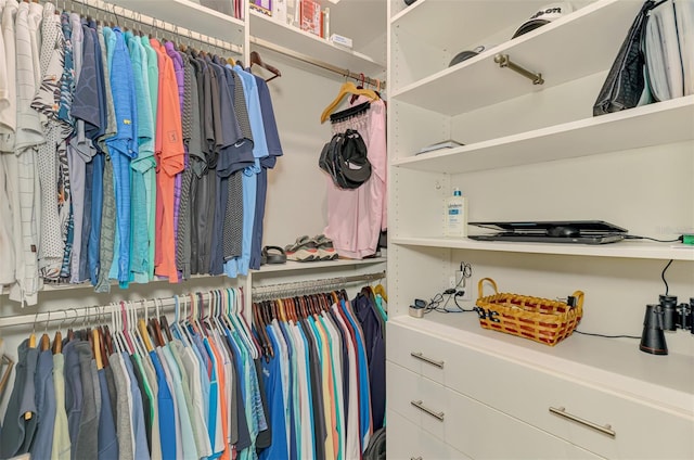 view of walk in closet