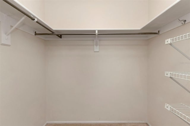 view of walk in closet