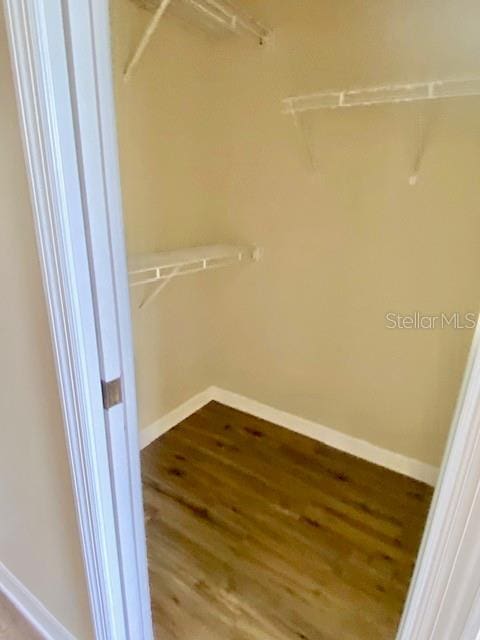 spacious closet featuring wood finished floors