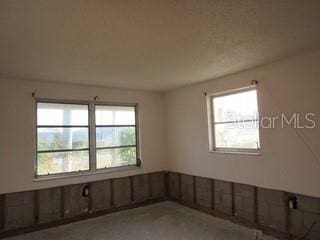 spare room featuring a wealth of natural light