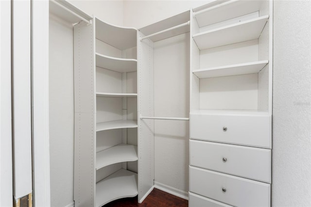 spacious closet with dark wood-style floors