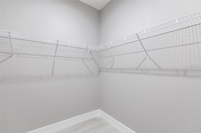 spacious closet featuring light wood finished floors