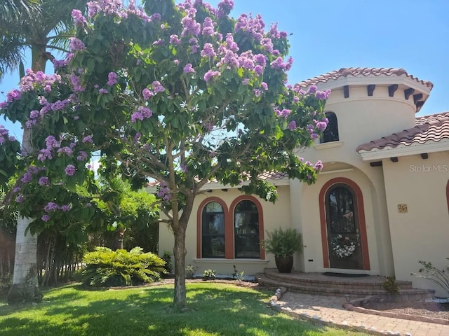 property entrance with stucco siding, a lawn, and a tiled roof