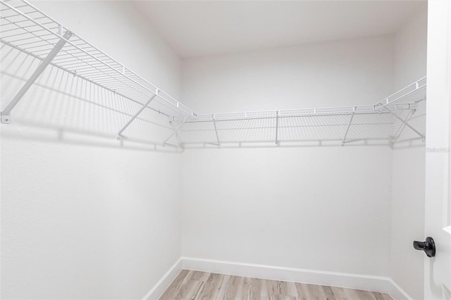 walk in closet featuring light wood-style floors