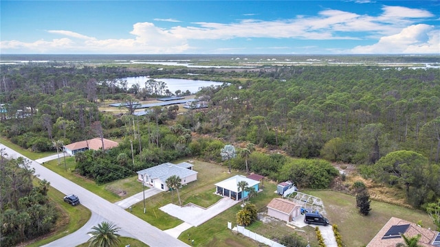 birds eye view of property featuring a water view and a view of trees