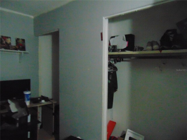 view of closet