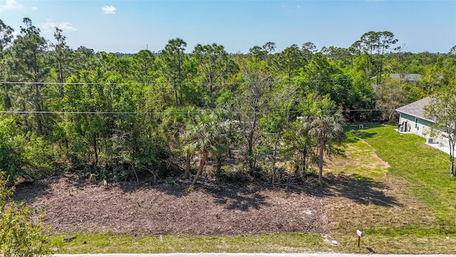 11401 2nd Ave, Punta Gorda, FL 33955 - photo 41