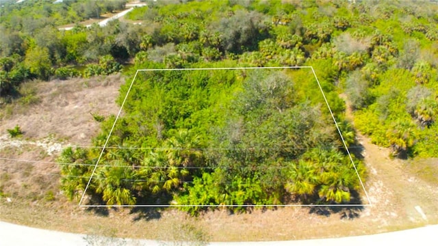 115 Santa Marta St, Port Charlotte FL, 33954 land for sale