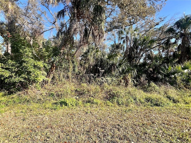 292 Hoffer St, Port Charlotte FL, 33953 land for sale